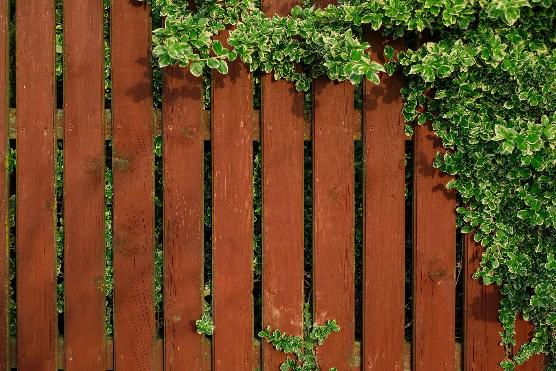 Wooden fence installation in Amherst, NY by KKR Fencing