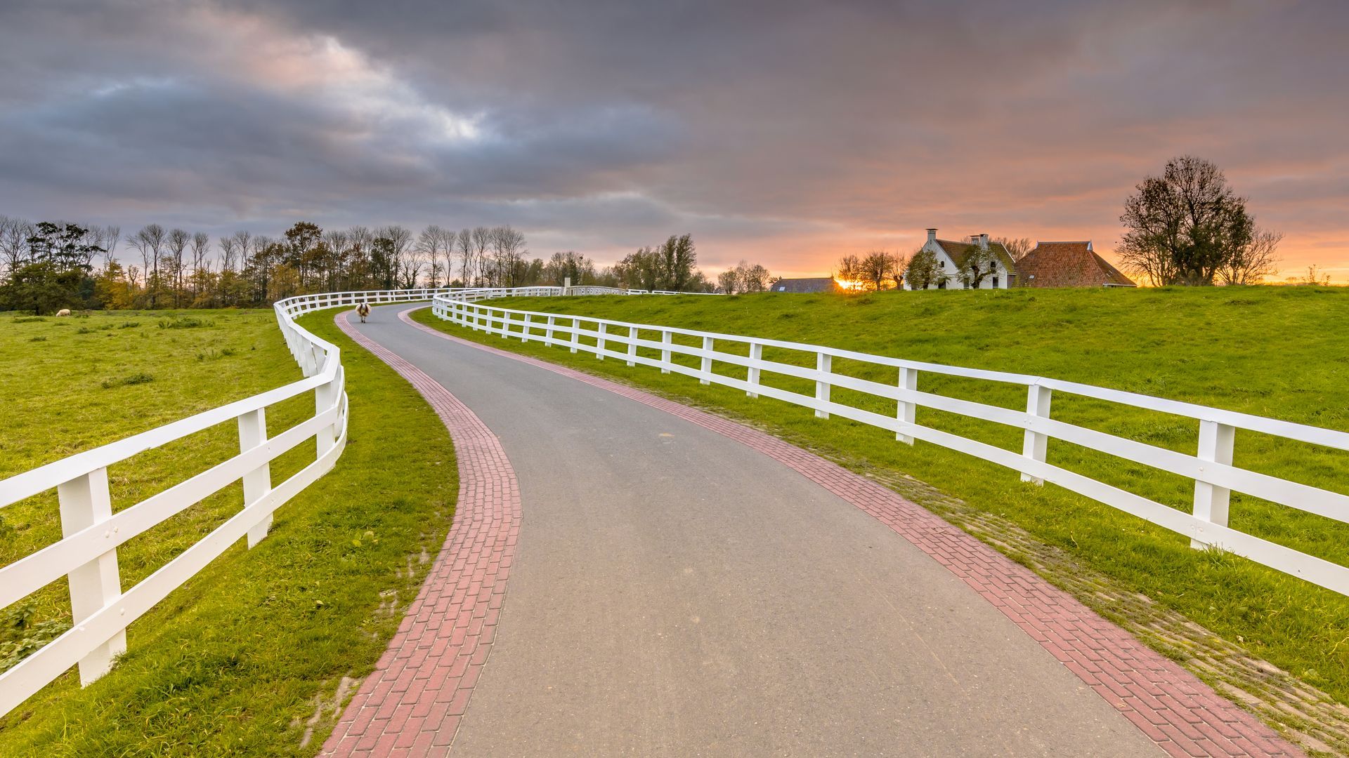 Fence installation in Delavan, NY by KKR Fencing & Outdoor Services