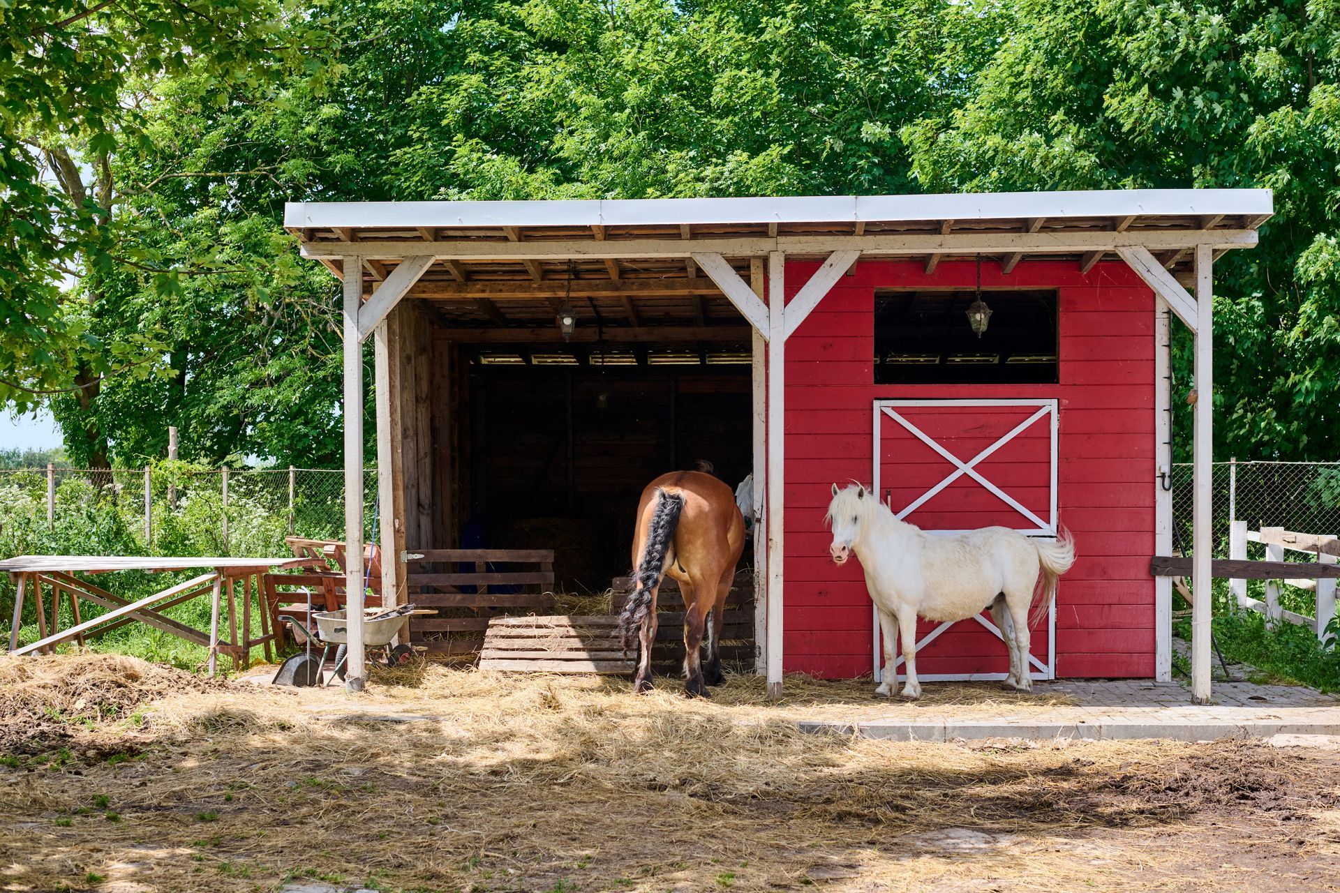 pole barn for horses in western NY