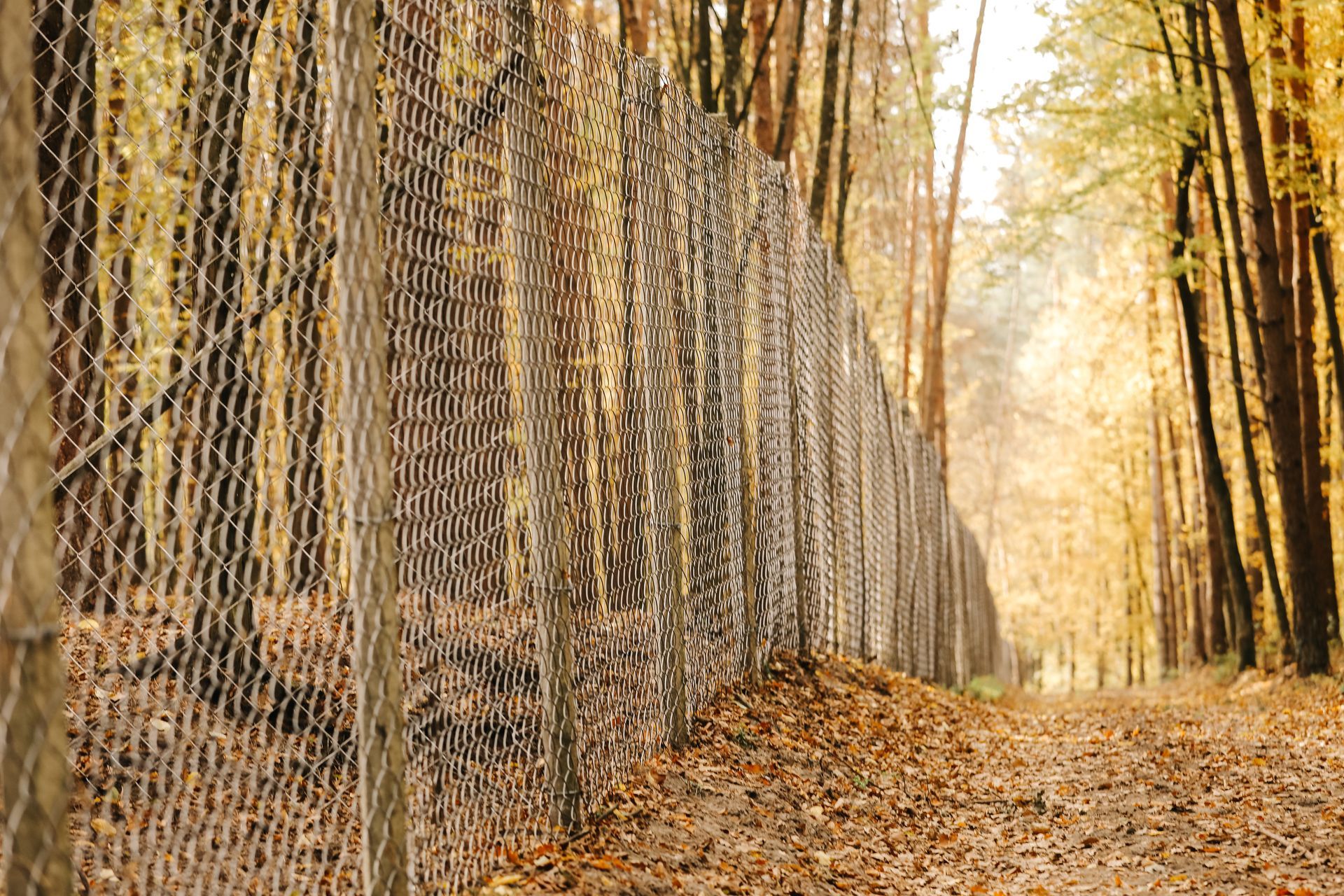 chainlink fence that needs maintenance and repair 