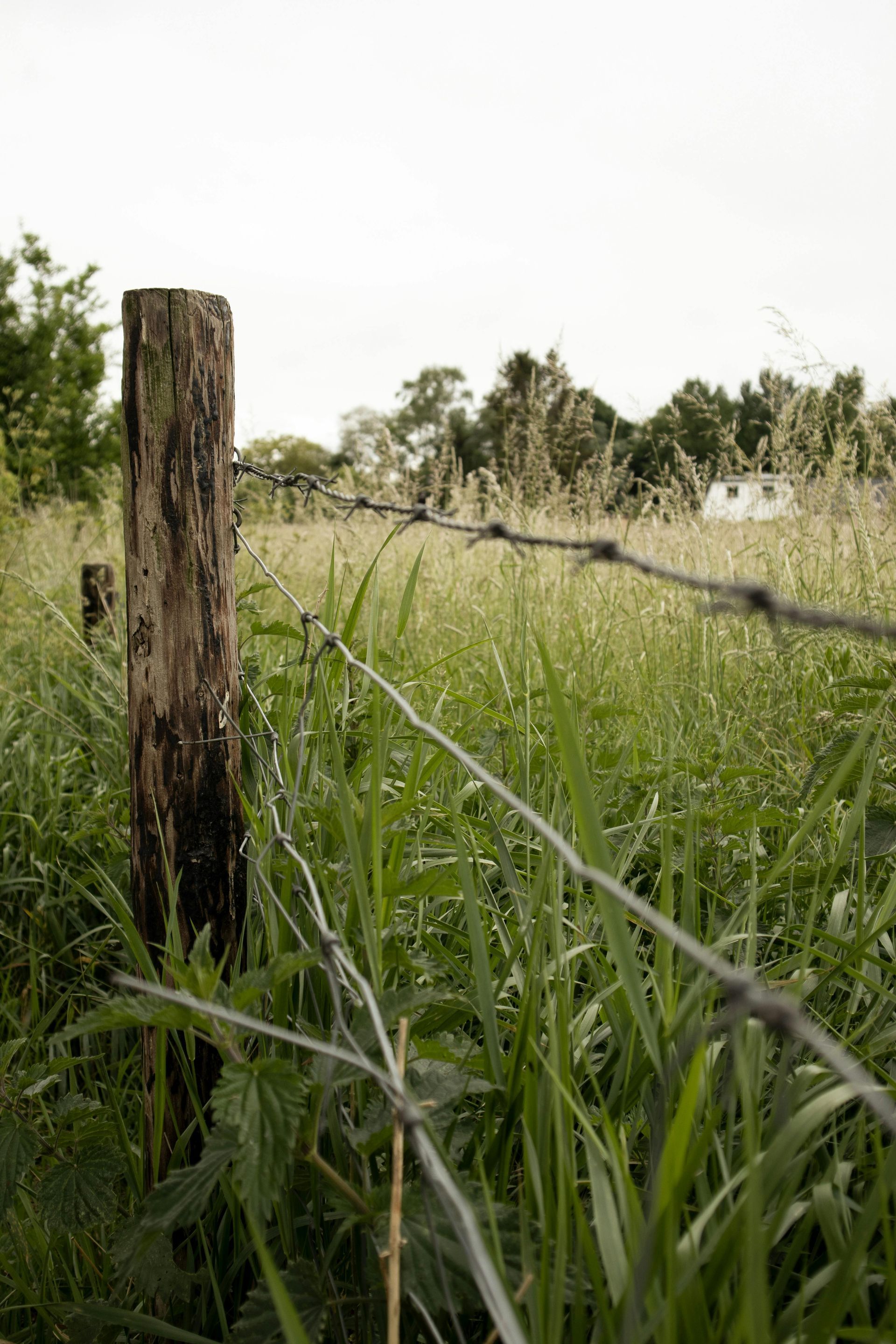 A wooden post insinde a farm.
