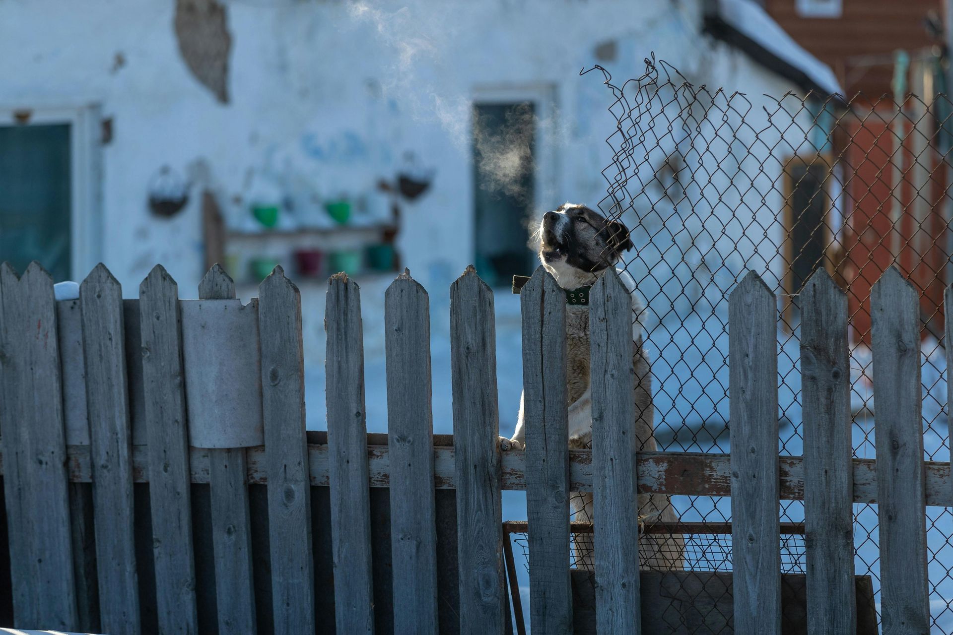 A wooden fence with luminum wires