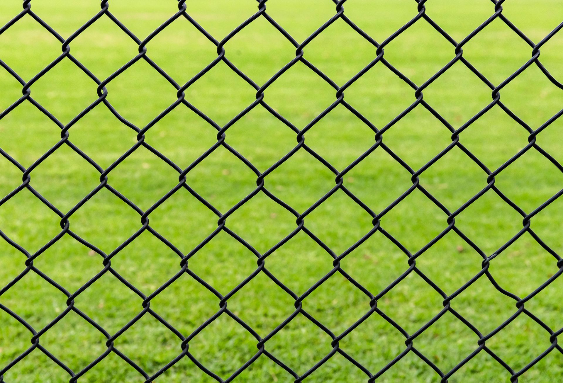 Chain link fence, with smaller mesh openings required for effective skunk exclusion