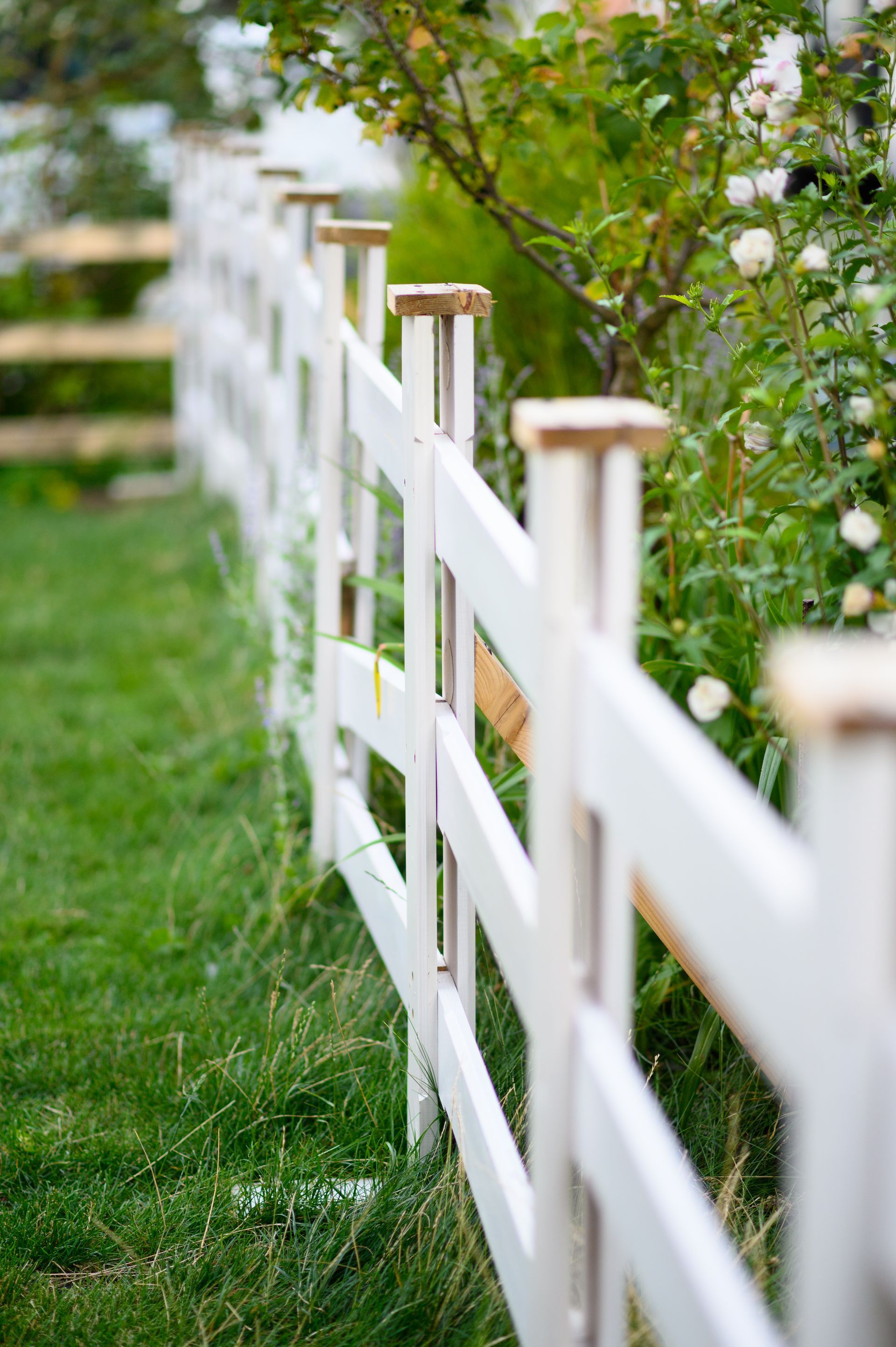 wooden fence install in Buffalo