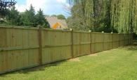 fence