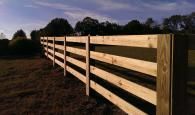 fence