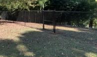 fence