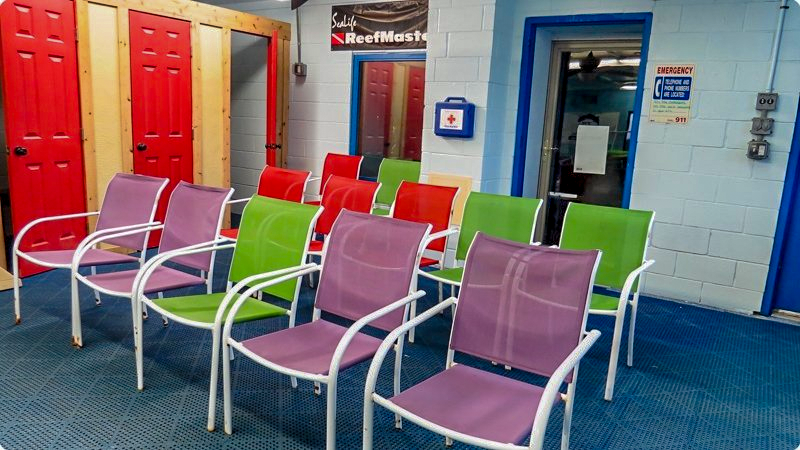 Chairs of various colors line the edge of a pool room, near lockers.