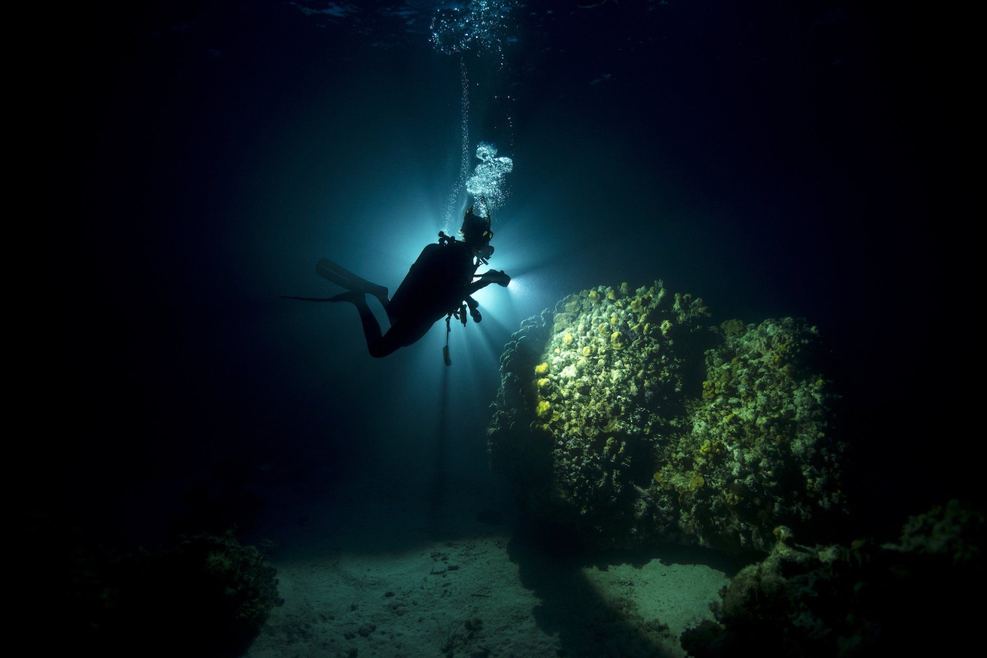 PADI Night Diver Specialty