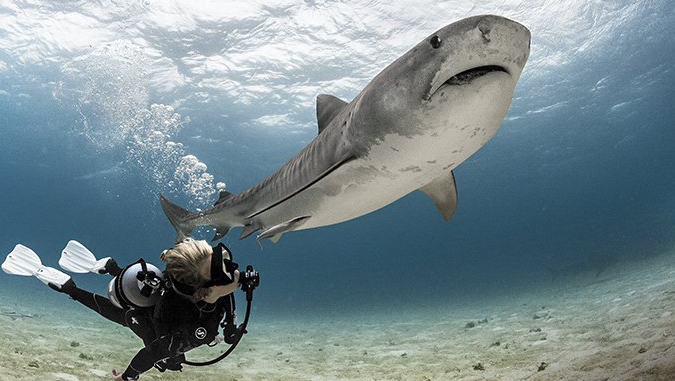 PADI Advanced Open Water Diver