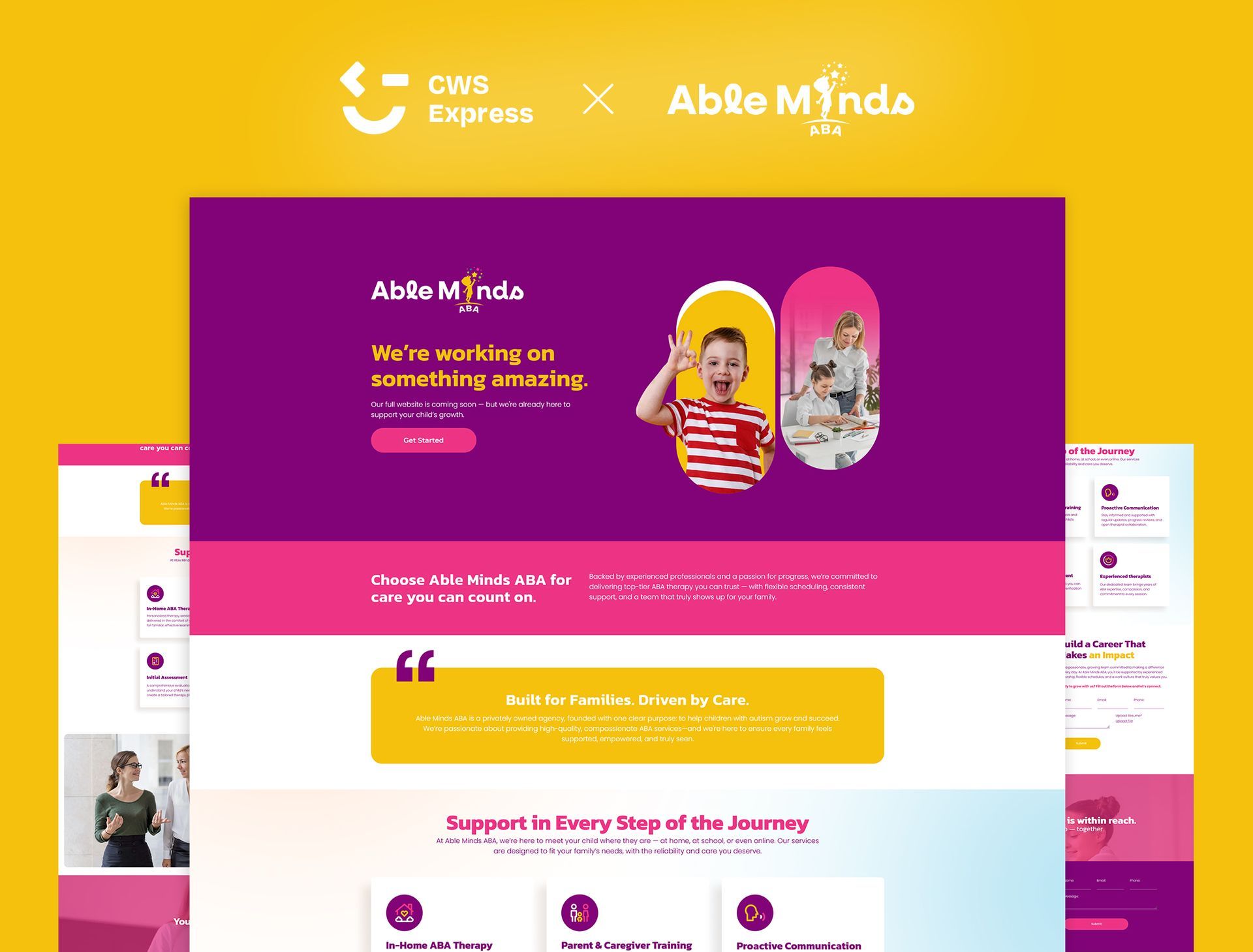 Able Minds ABA Mock Up Website