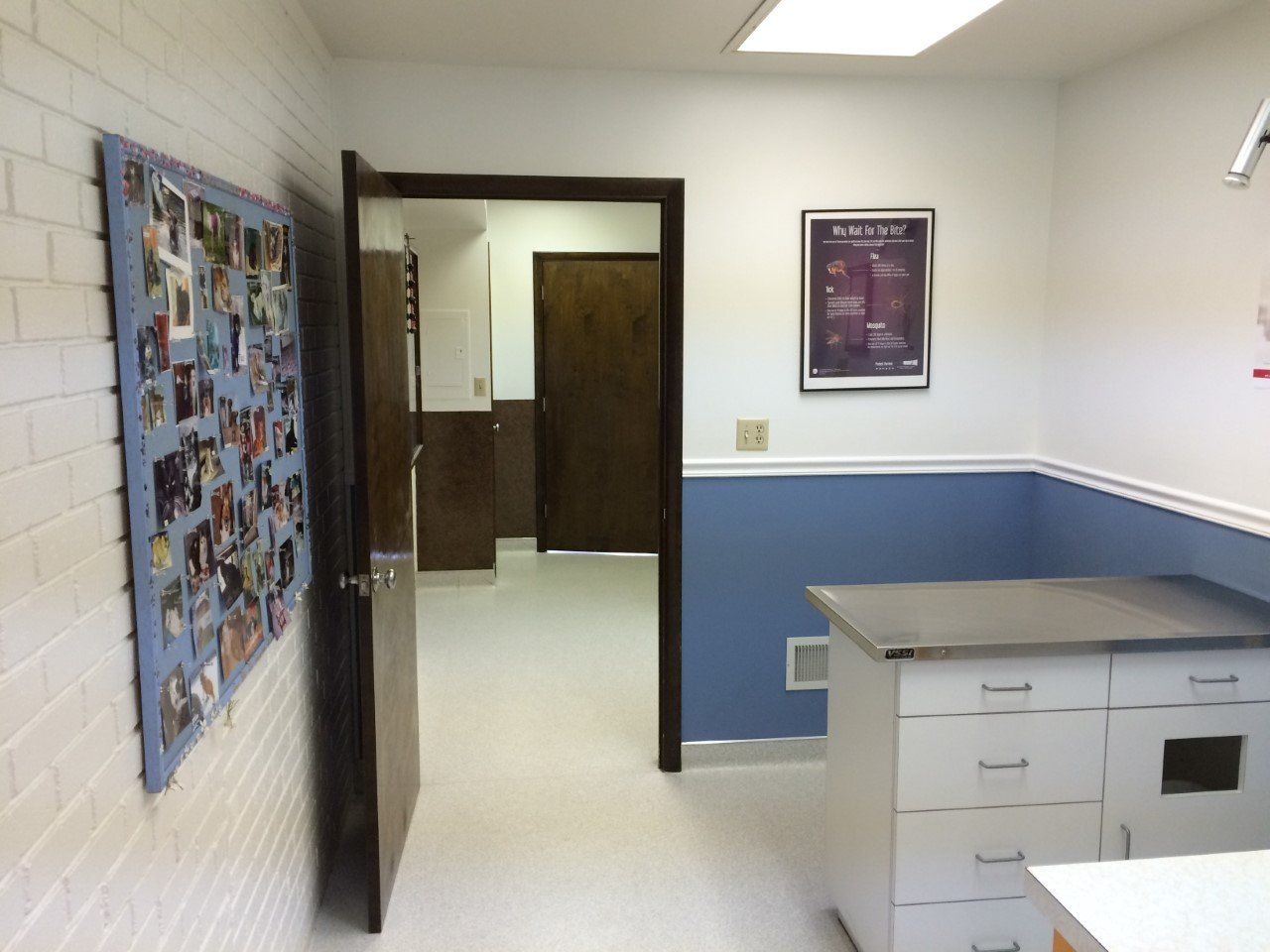 Interior of a vet exam room with blue wall, stainless steel table, and open doorway to hallway.