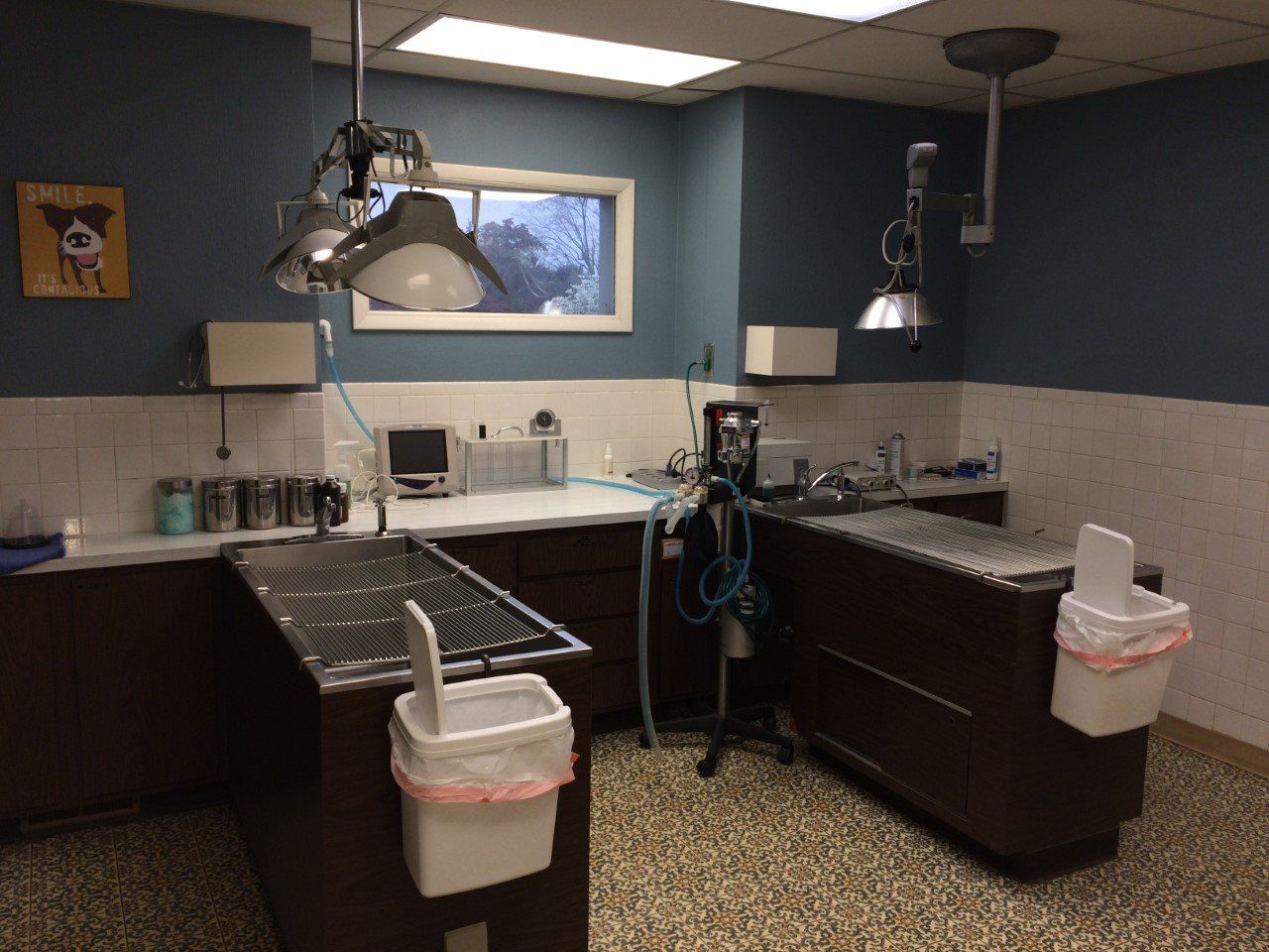 Veterinary exam room: two examination tables, blue walls, medical equipment, and a dog portrait.