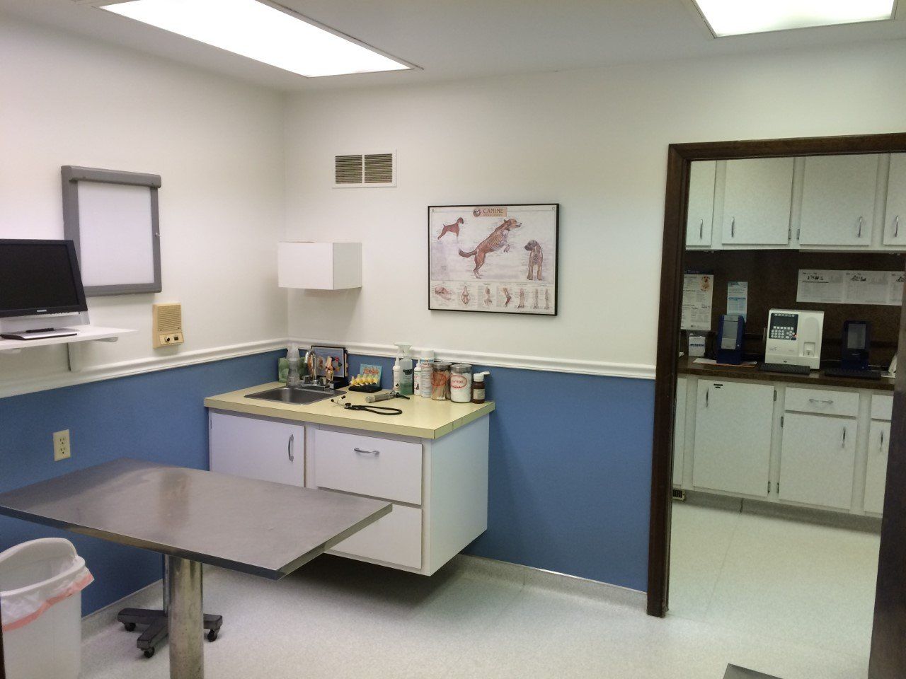Veterinary exam room: stainless steel table, sink, cabinets, medical chart on wall, open door to another room.