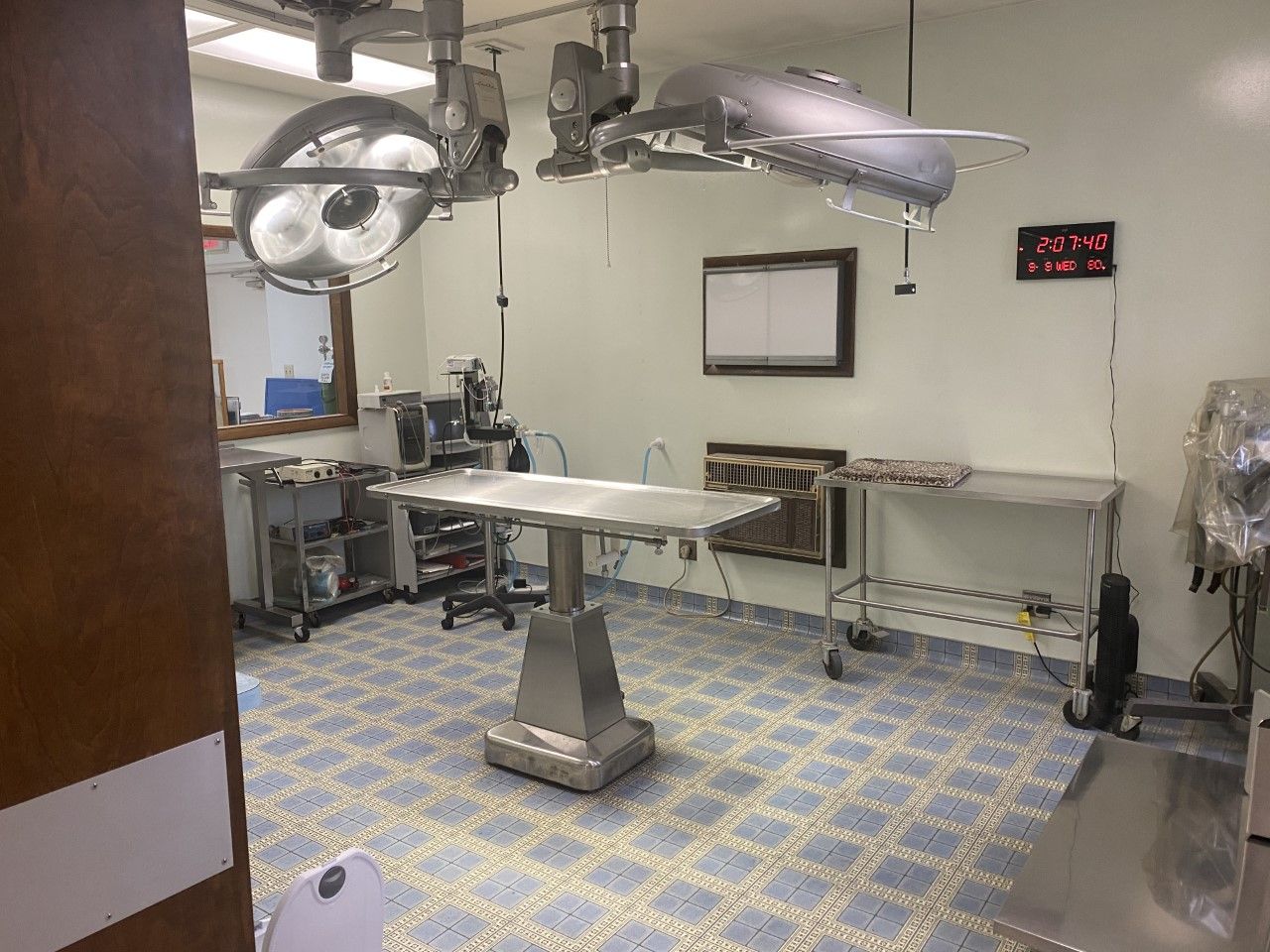 Surgical Services Columbus, OH Great Southern Animal Hospital