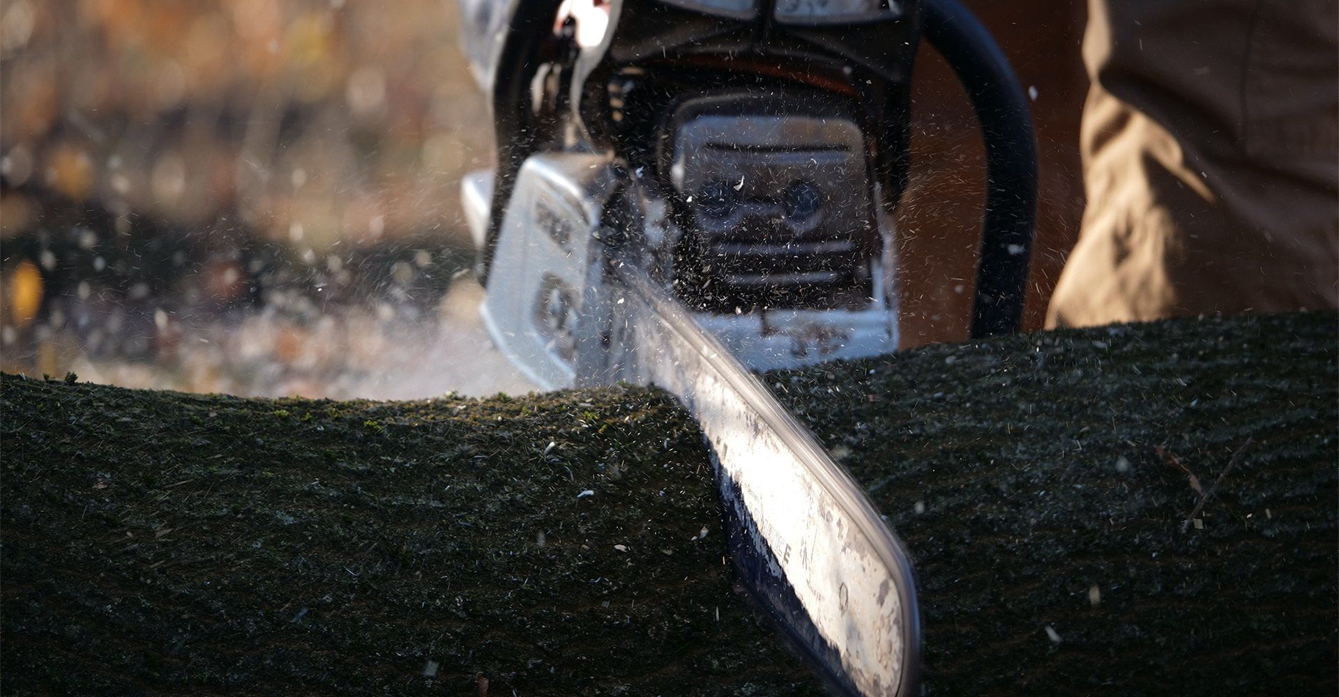 Potature e abbattimenti