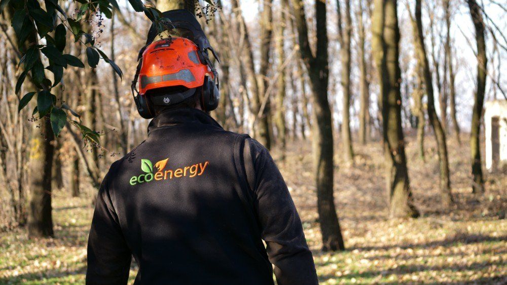 taglialegna al lavoro