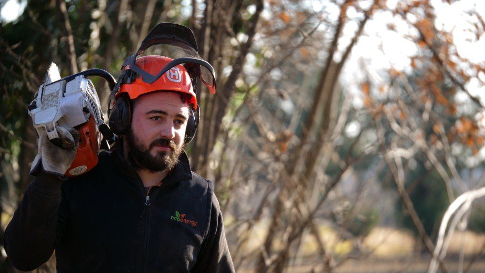 dettaglio taglialegna