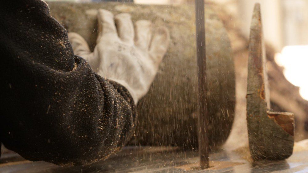 operazione di taglio legna