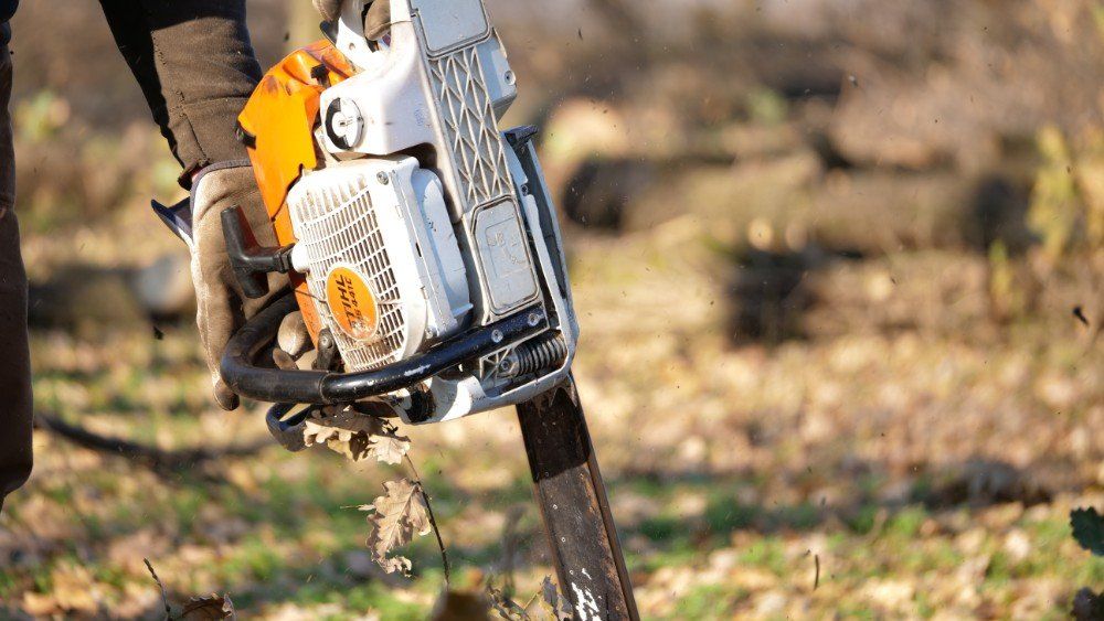 attrezzature per il taglio di alberi