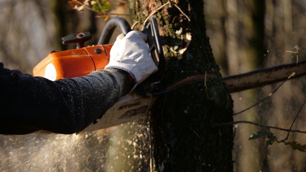 operatore taglia un albero