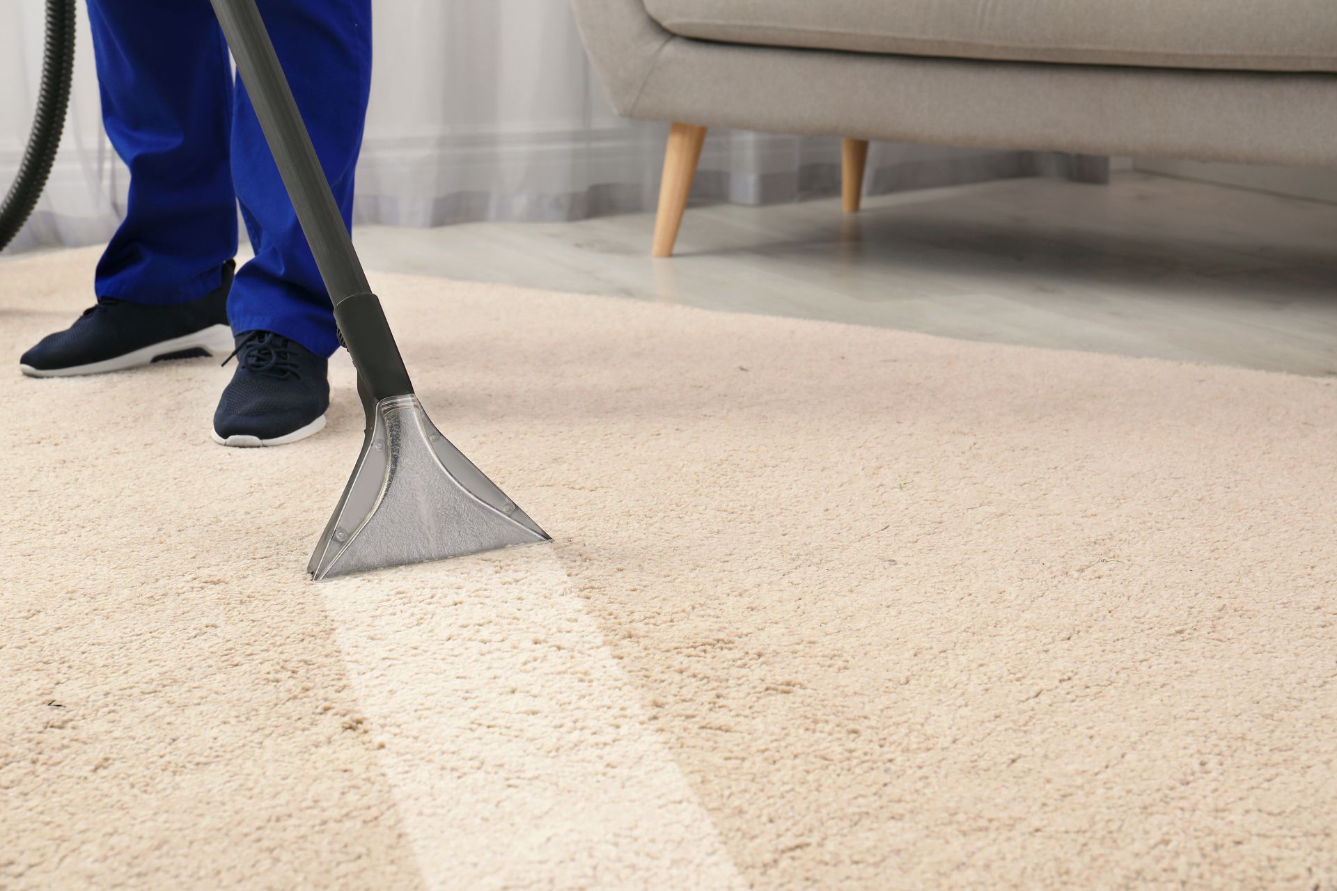 Person cleaning a beige carpet with a vacuum, leaving a clean path.