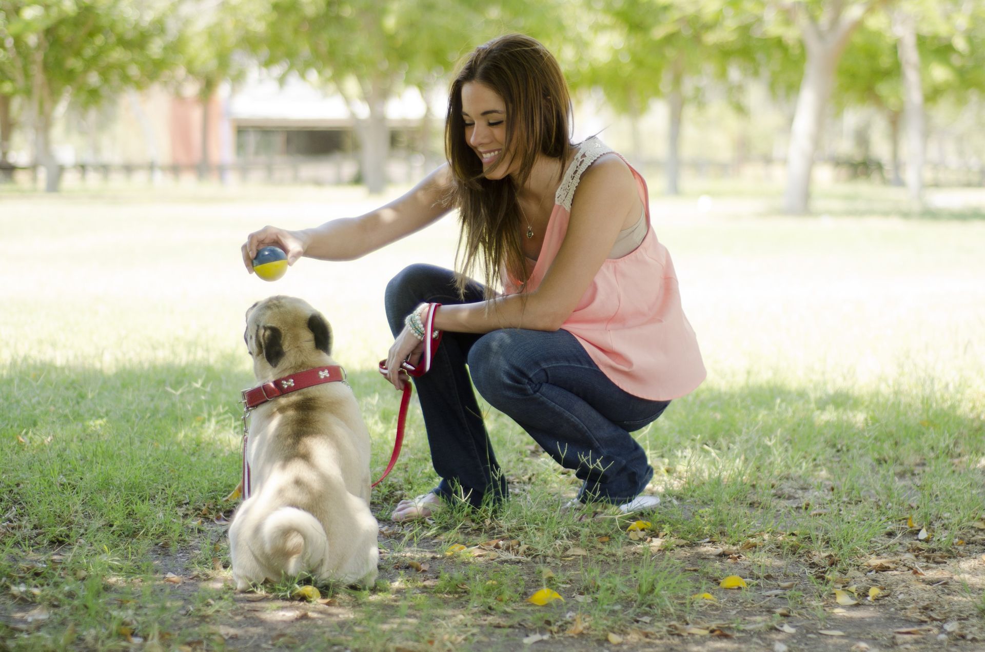 Woman giving ball to dog