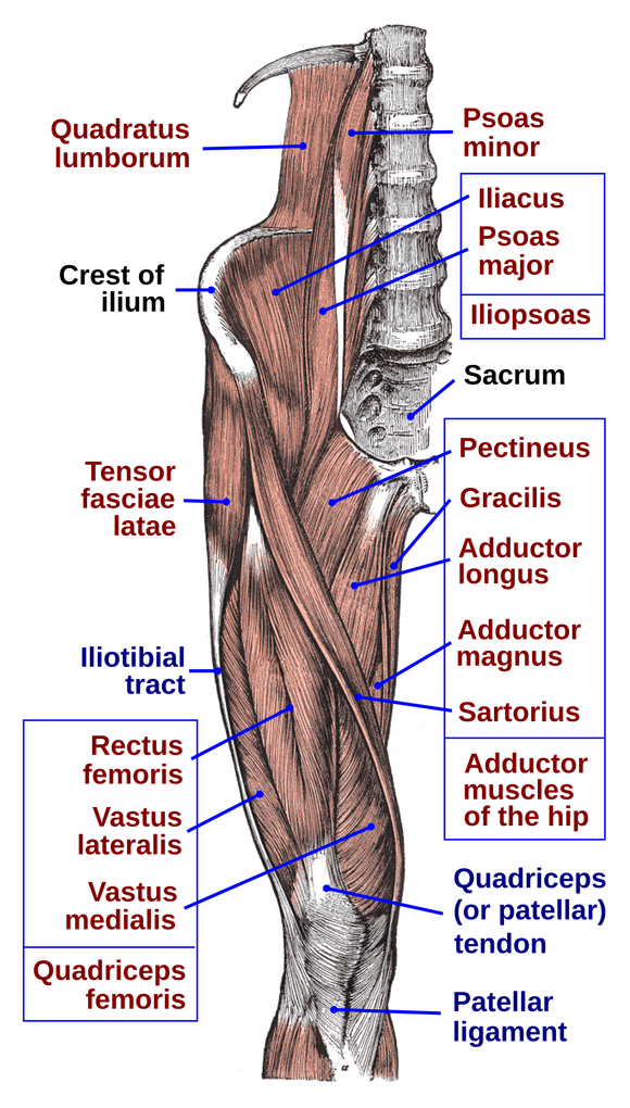 EXPOSING THE UNDERLYING CAUSES OF PAIN