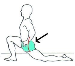 Lower Back Pain and why PSOAS muscles could be the cause?