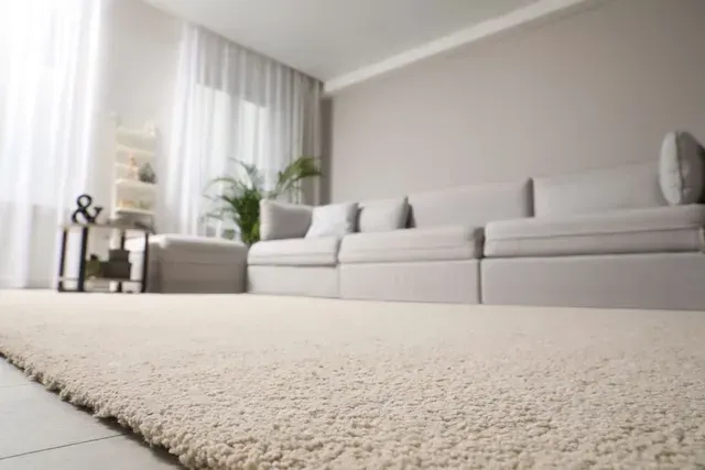 Salon moderne et lumineux avec un canapé beige, des voilages, une plante en pot et une moquette texturée.