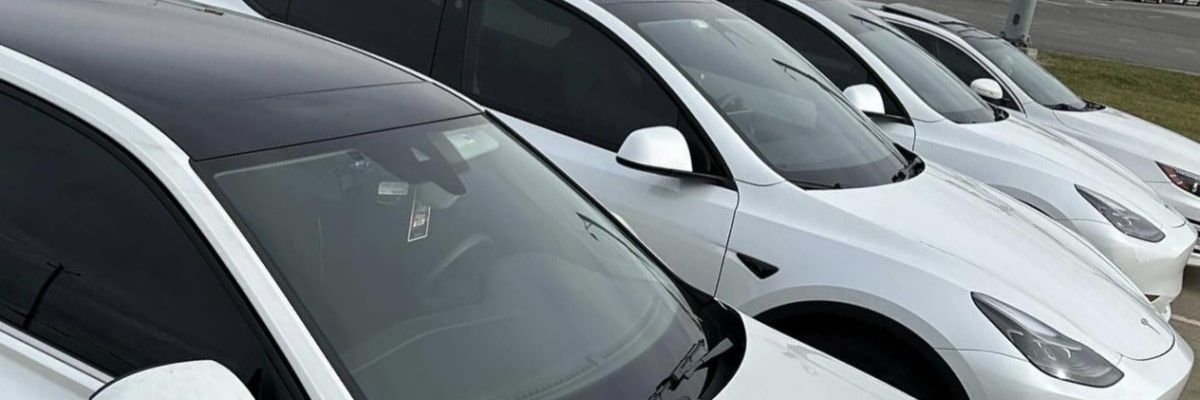 A row of white Teslas are parked next to each other with various window tint amounts