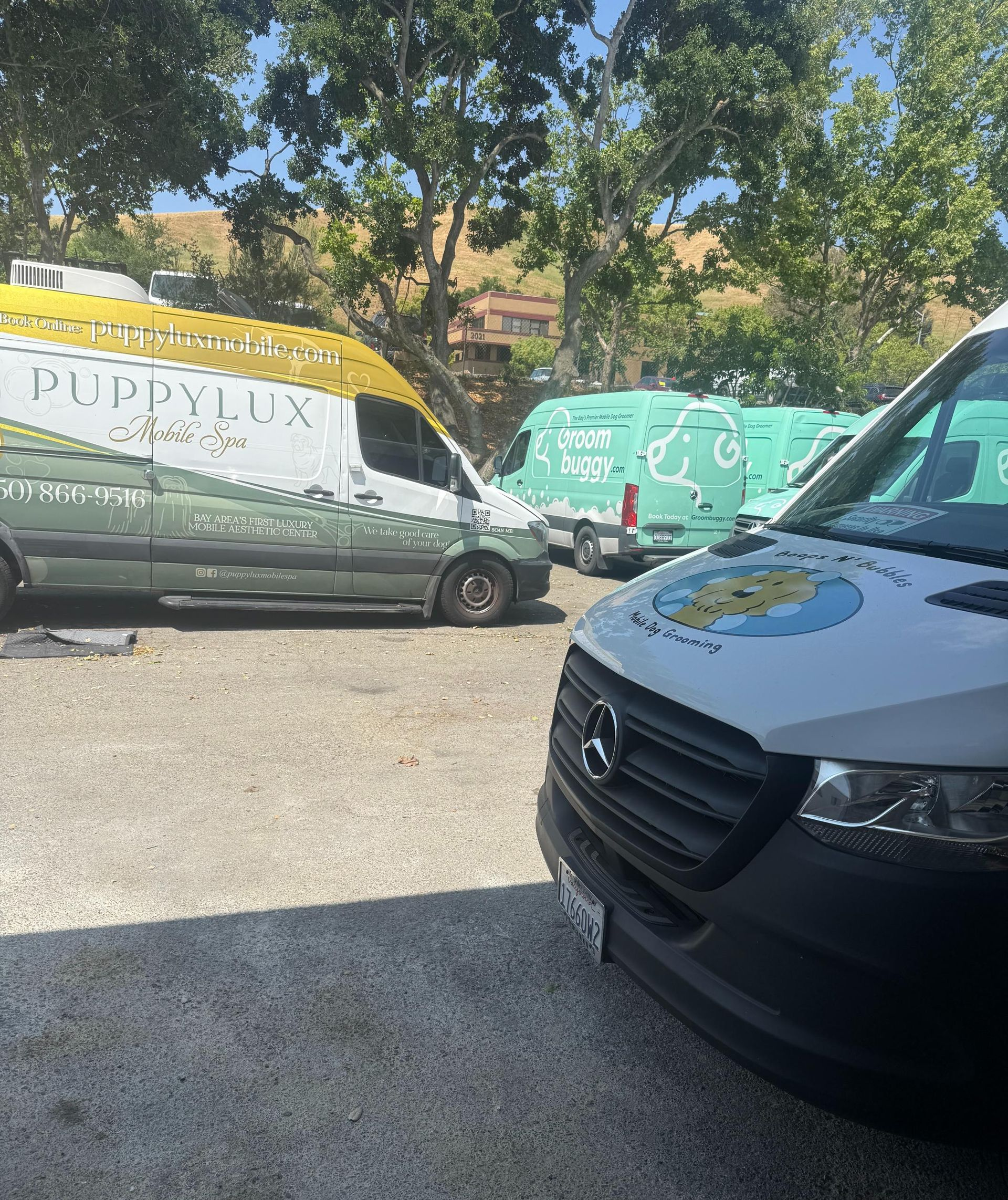 Several service vans parked outside; one displays a logo with yellow, green, and white.