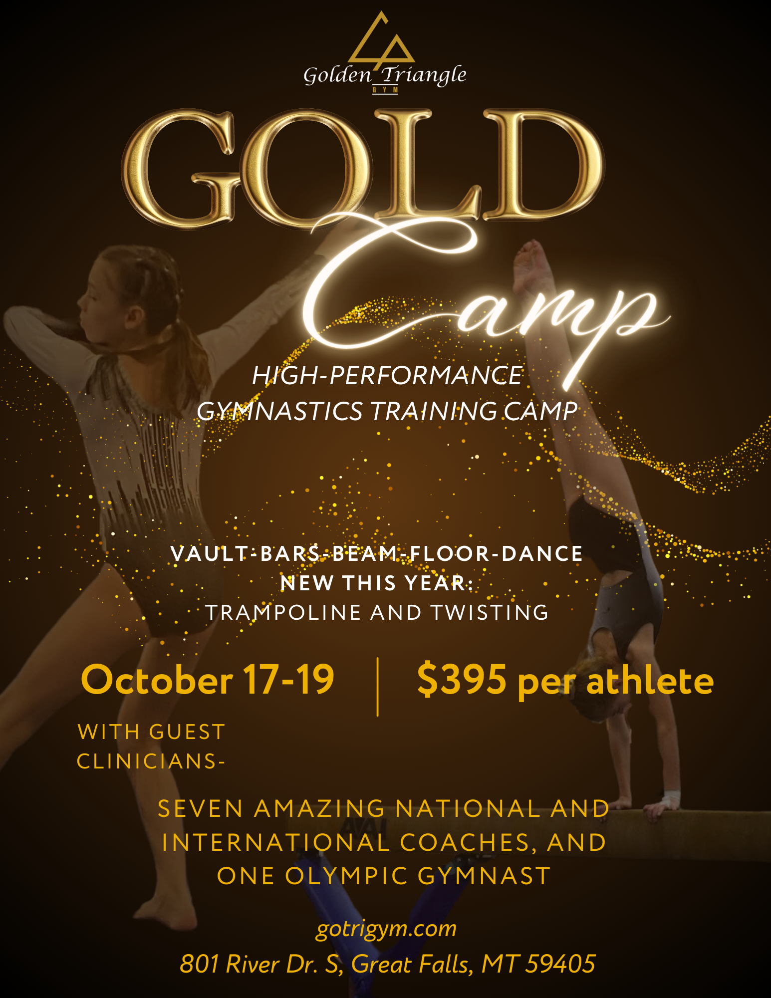 A poster for a high performance gymnastics training camp