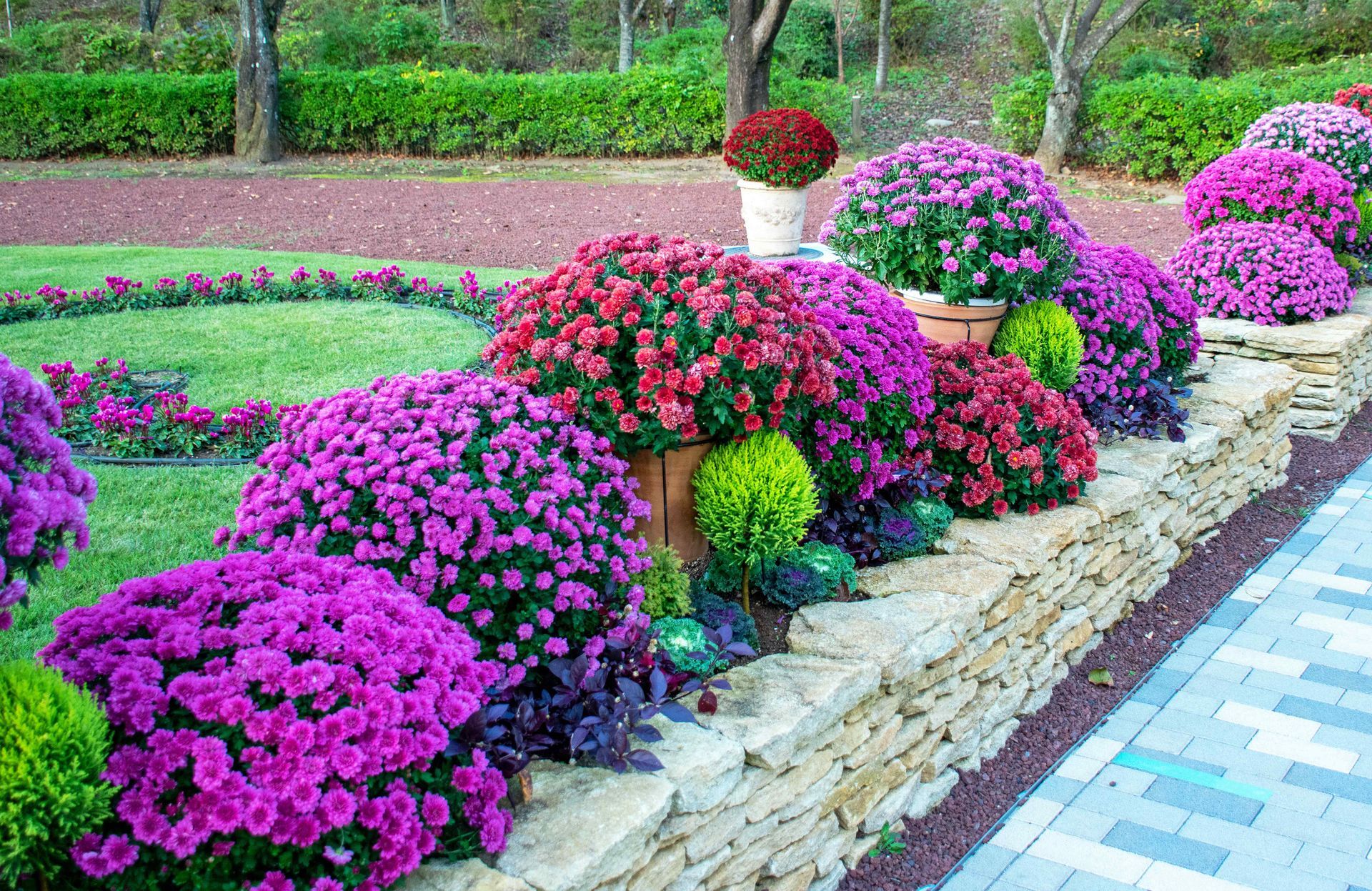 Beautiful Purple, red and green flowerbed surrounded by retaining wall