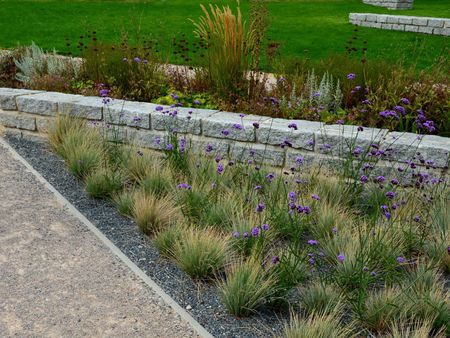 Green and purple plants around a small retaining wall
