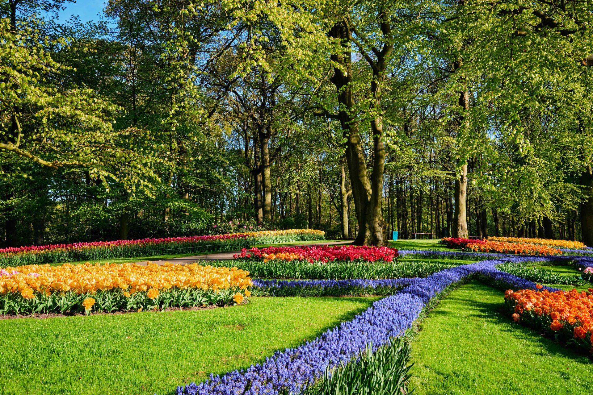 Bright flowerbed in a big yard surrounded by trees