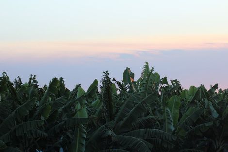 Beautiful Sunset In Innisfail — Mission Solar And Electrical In Innisfail, QLD