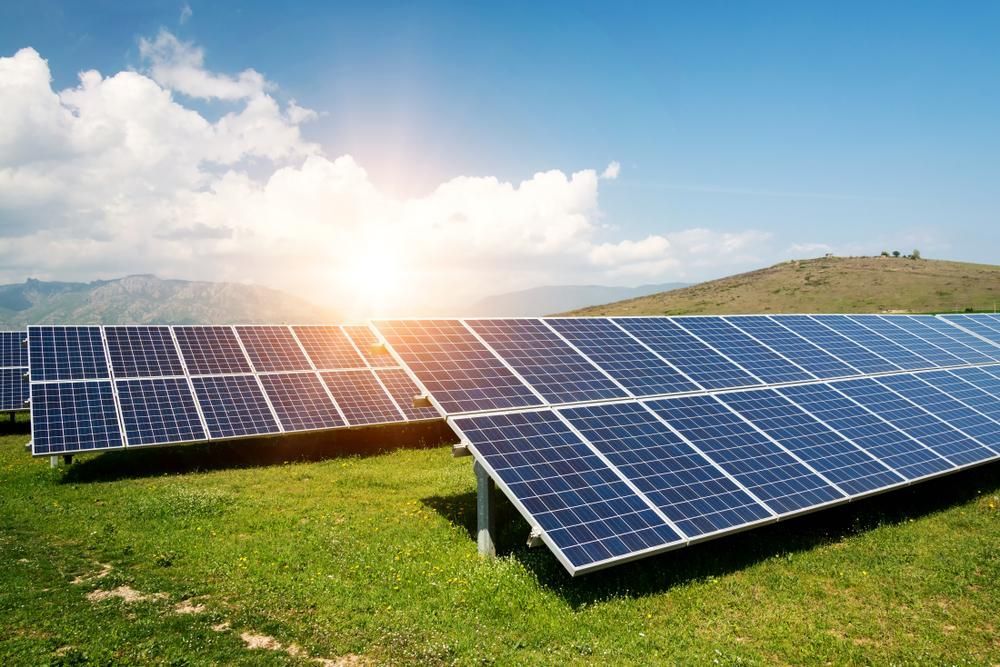A Row Of Solar Panels Sitting On Top Of A Lush Green Field — Mission Solar And Electrical In Innisfail, QLD