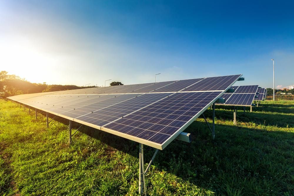 A Row Of Solar Panels Sitting On Top Of A Lush Green Field — Mission Solar And Electrical In Cardwell, QLD