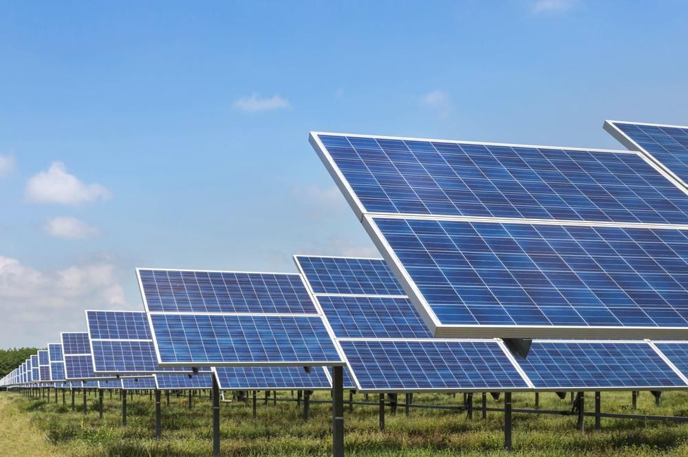 A Row Of Solar Panels In A Field With A Blue Sky In The Background — Mission Solar And Electrical In Cardwell, QLD