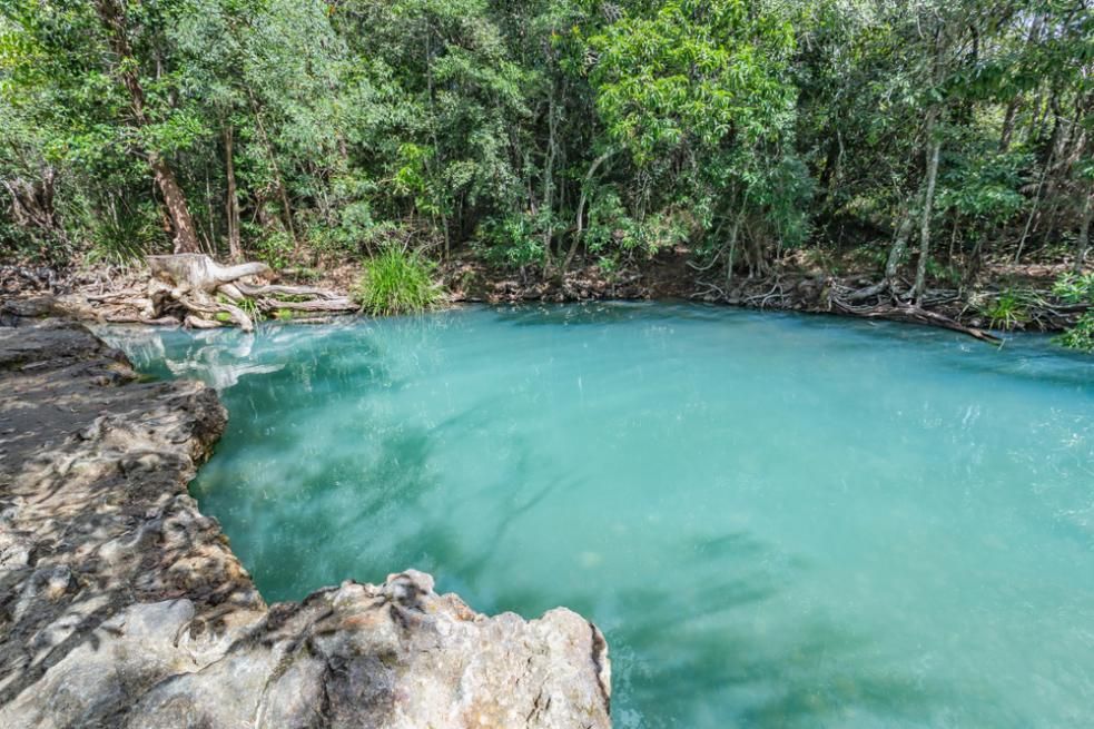 A Small Pond In The Middle Of A Forest Surrounded By Trees — Mission Solar And Electrical In Cardwell, QLD