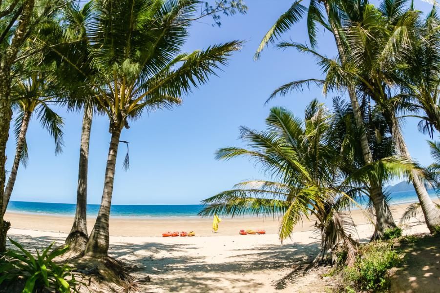 A Path Leading To A Beach Surrounded By Palm Trees — Mission Solar And Electrical In Mission Beach, QLD