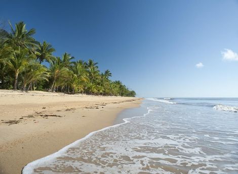 A Beach With Palm Trees And Waves Coming In — Mission Solar And Electrical In Mission Beach, QLD