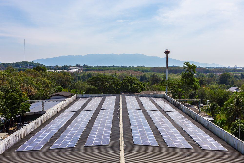 Factory Roof With Solar Cells — Solar Power In Cassowary Coast, QLD