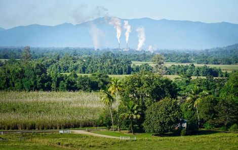 A View Of A Field With Trees And Mountains In The Background  — Mission Solar And Electrical In Tully, QLD