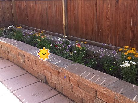 Floral- Property Landscaping Maintenance in Albuquerque, NM
