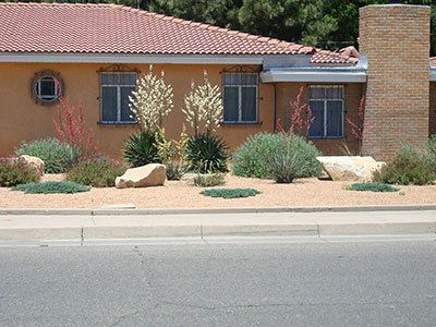 House Work- Property Landscaping Maintenance in Albuquerque, NM