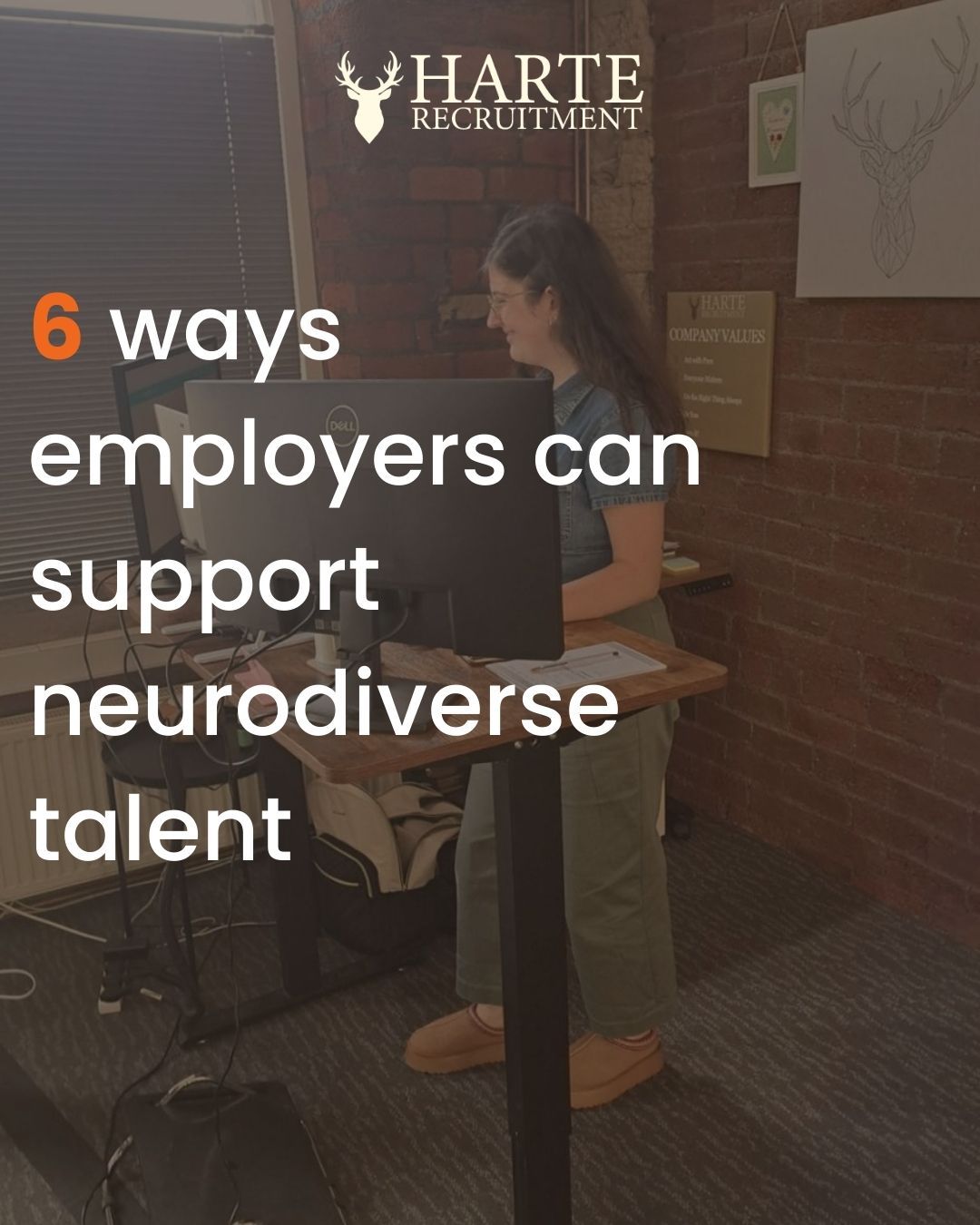 fake newspaper article image with Suzie Harte