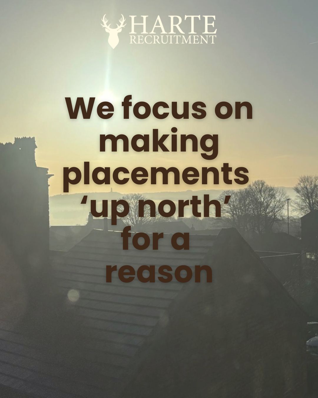 fake newspaper article image with Suzie Harte