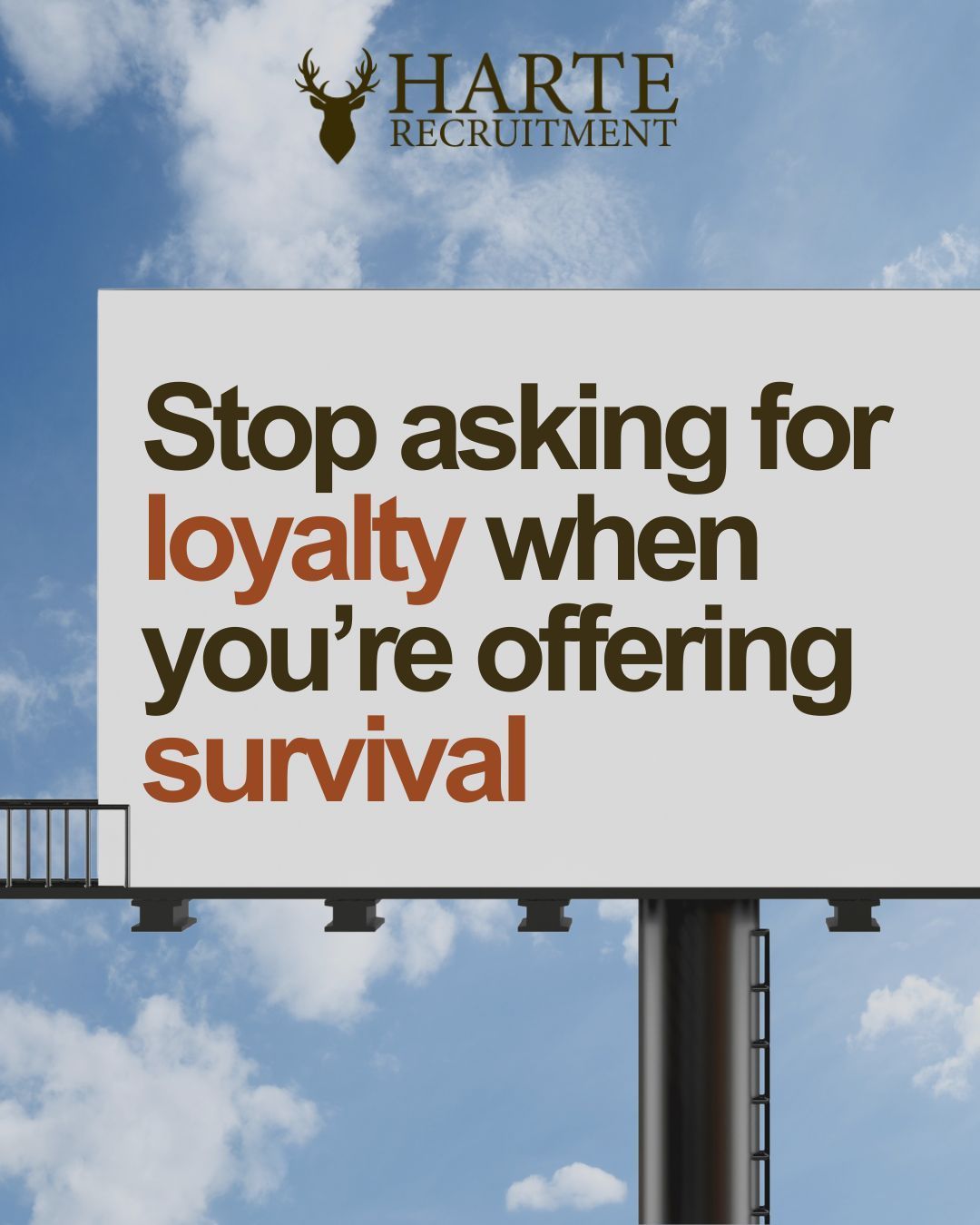 fake newspaper article image with Suzie Harte